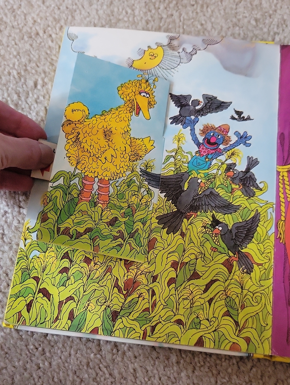 FREE W ANY PURCHASE! Sesame Street Colorful Kids Book - Picture 7 of 16